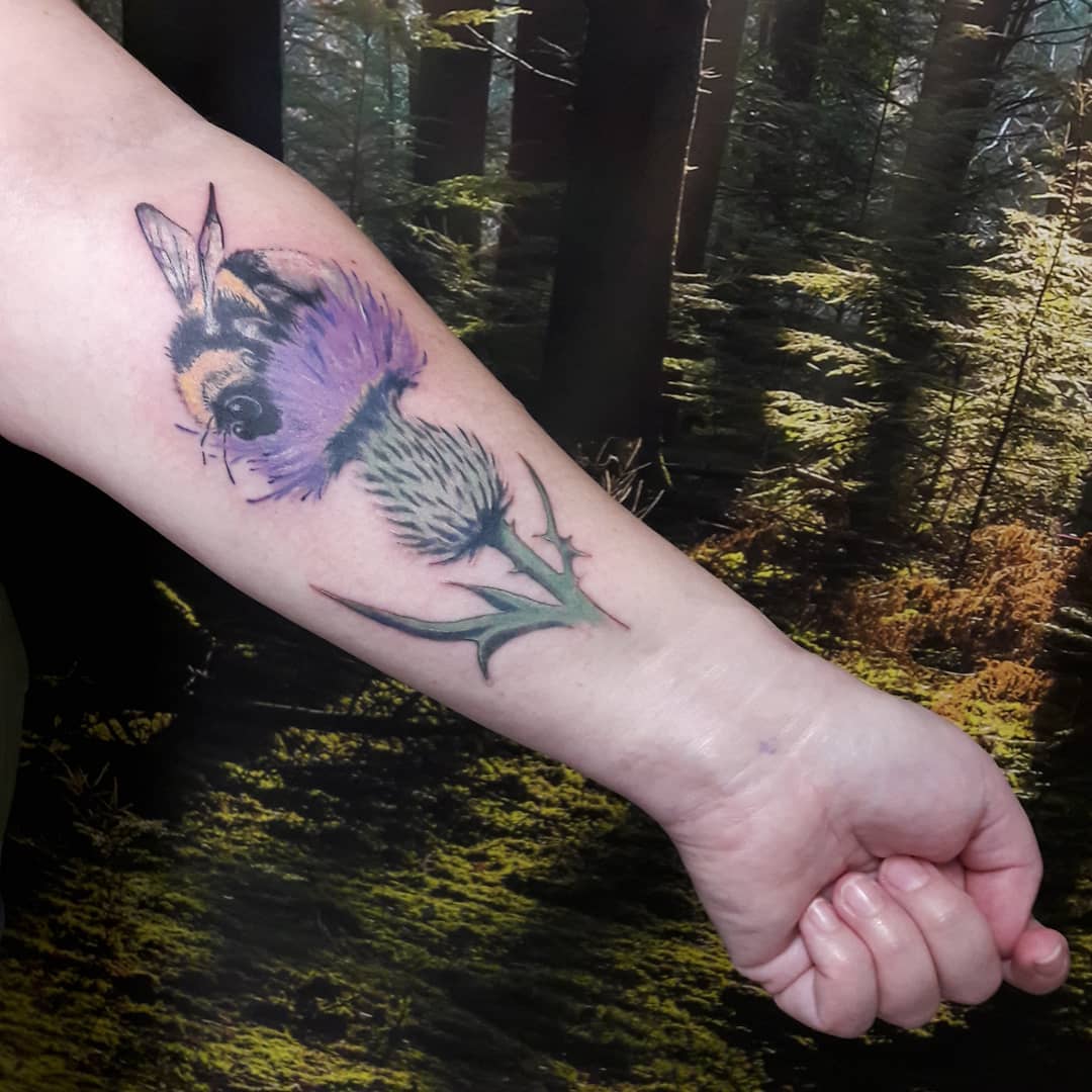 Scottish Thistle Tattoo Design On Forearm