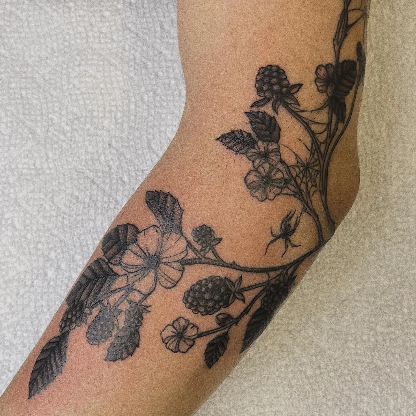 Blackberry bush with detailed flowers on arm