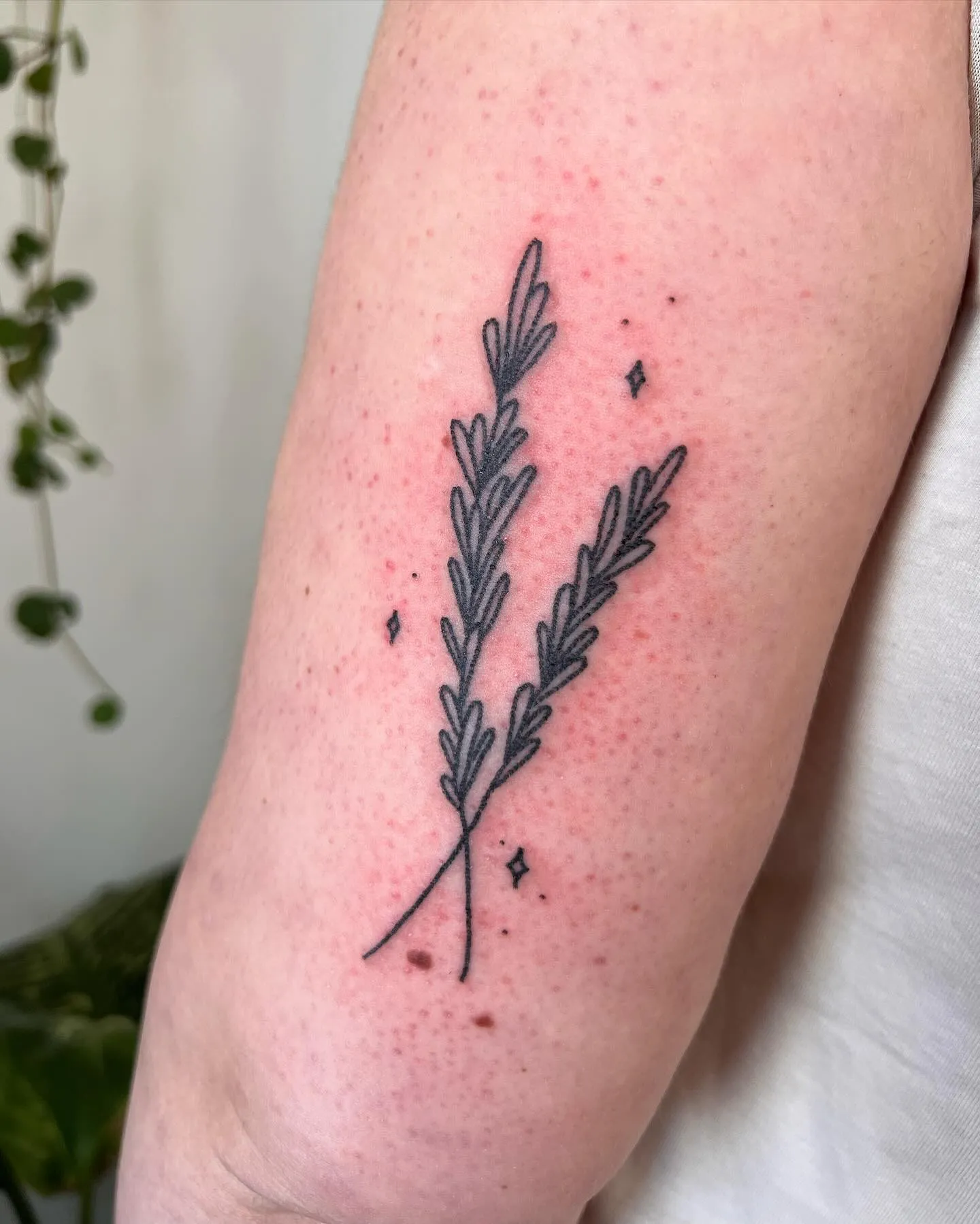 Delicate Rosemary Sprig with Tiny Stars Tattoo