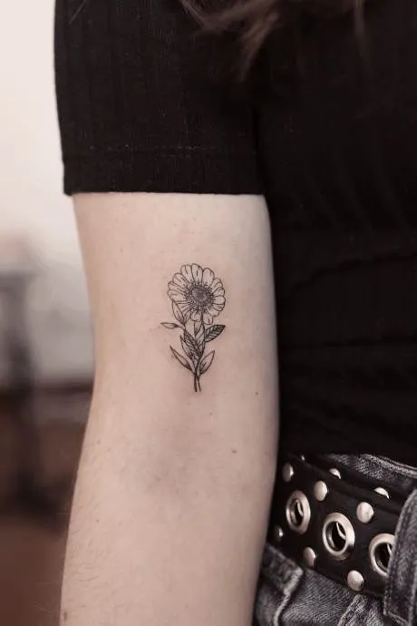 Delicate Zinnia Tattoo on Inner Arm
