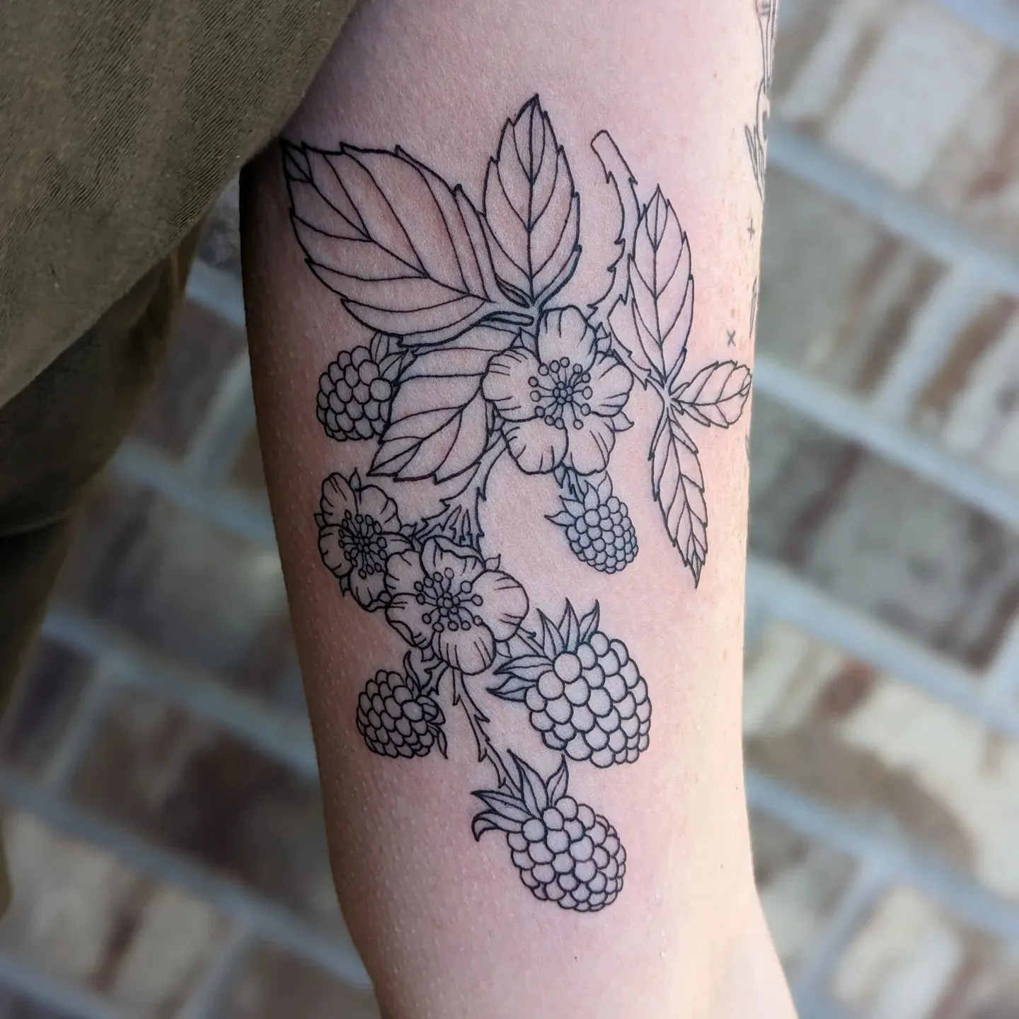 Delicate blackberry bush sketch on forearm