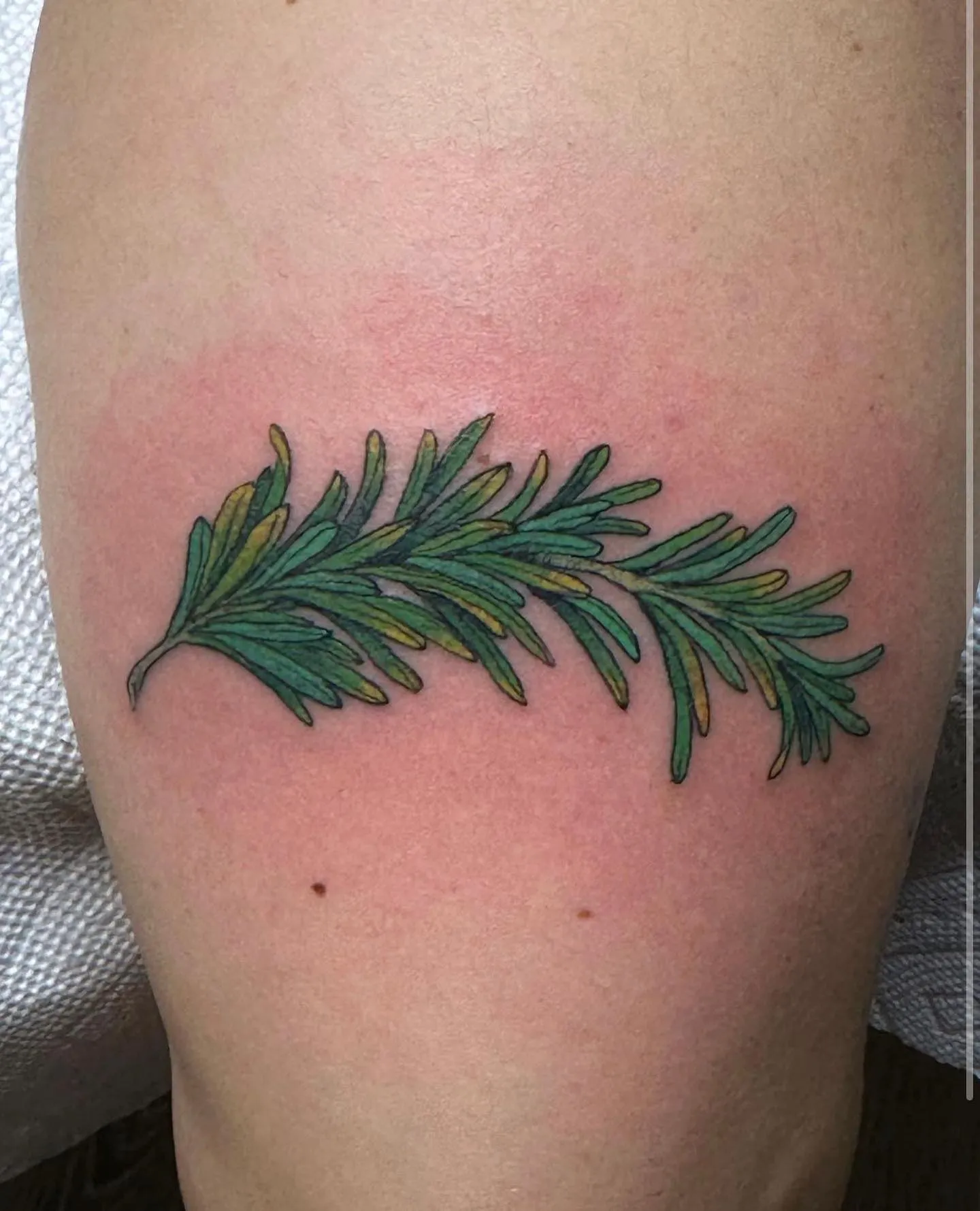 Detailed Shaded Rosemary Sprig on the Thigh