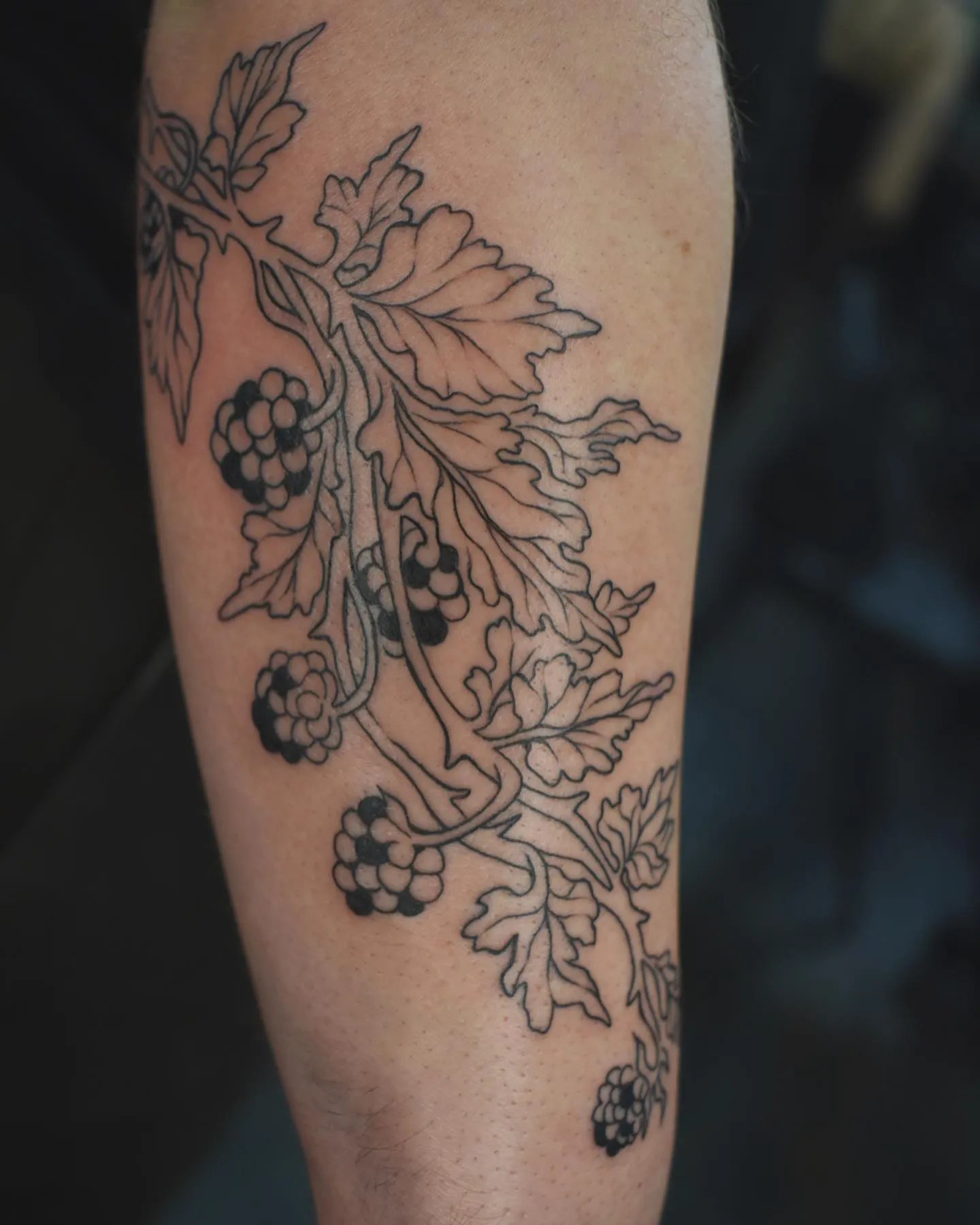 Elegant blackberry vine artwork on arm