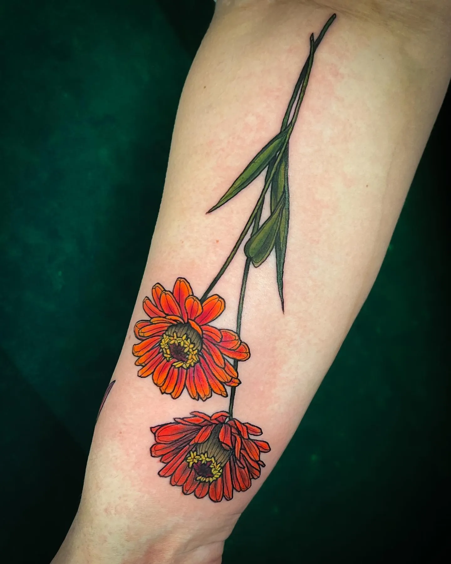 Fiery Zinnia Tattoo with Striking Colors