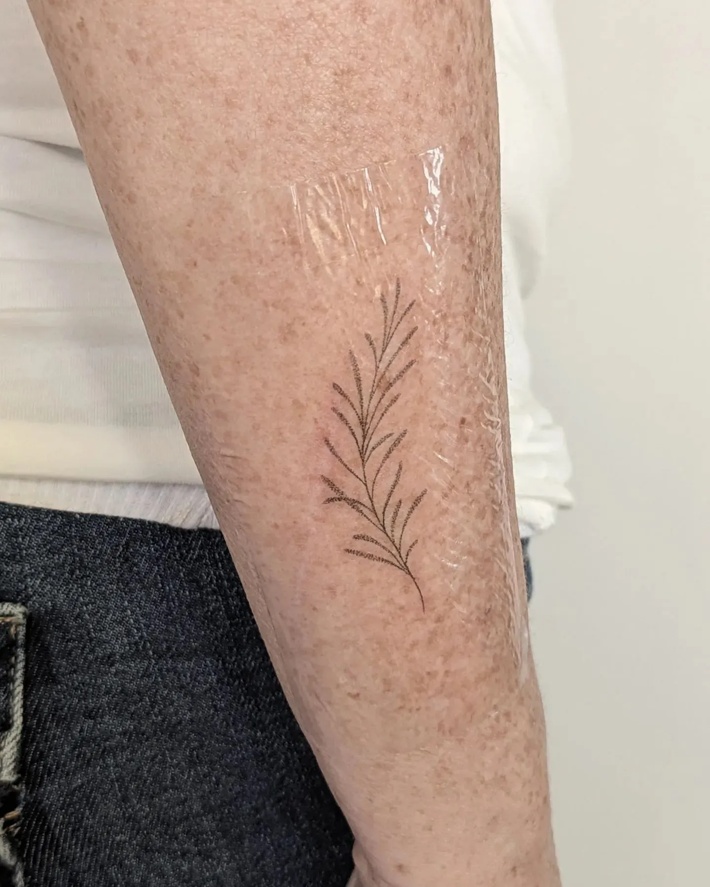 Fine-Line Rosemary Accent on the Forearm