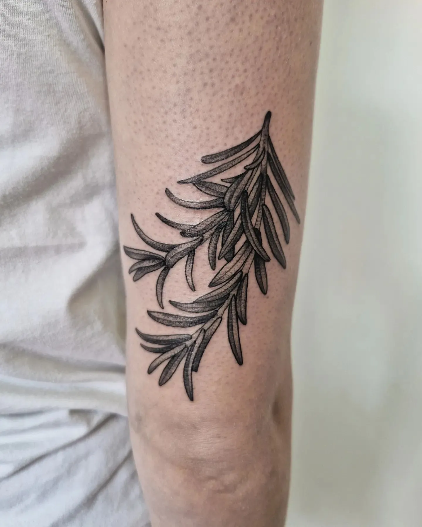Inked Elegance of Rosemary on the Forearm
