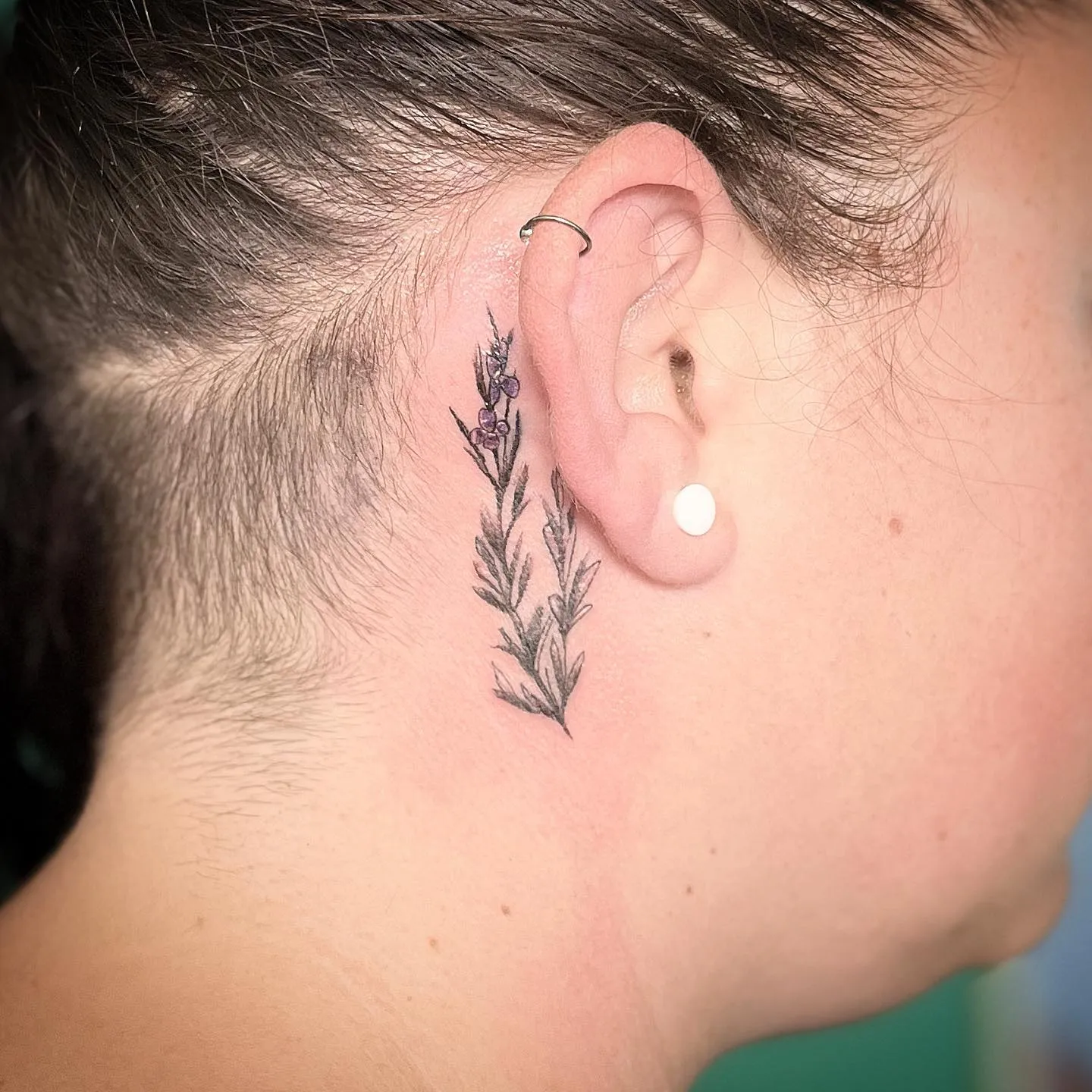 Intricate Rosemary Sprig Tattoo Behind the Ear