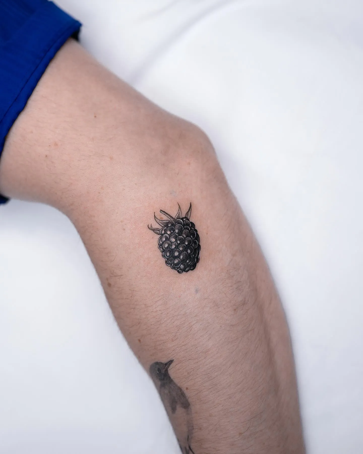 Minimalist single blackberry arm tattoo