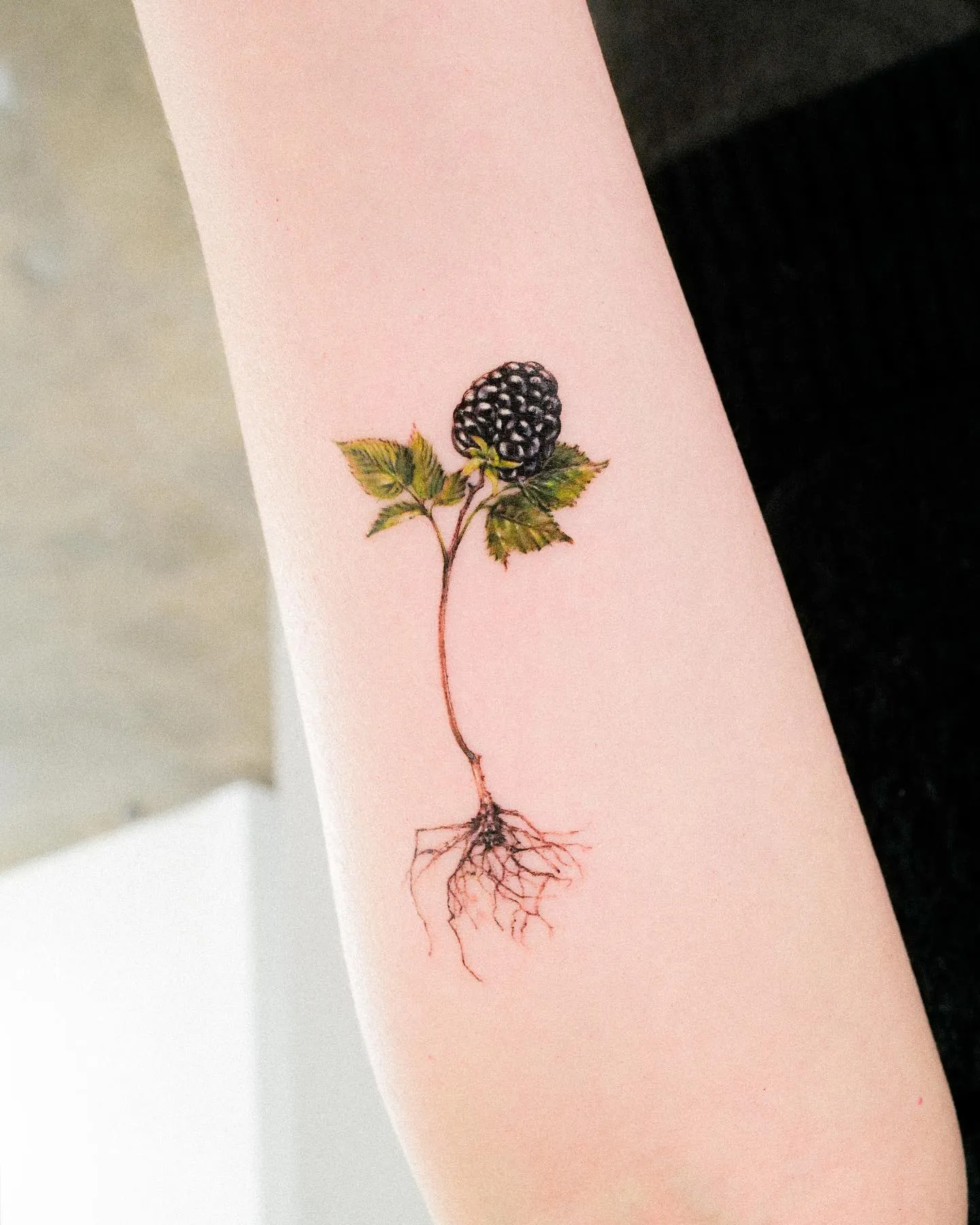 Roots to Fruits Realistic Blackberry Tattoo