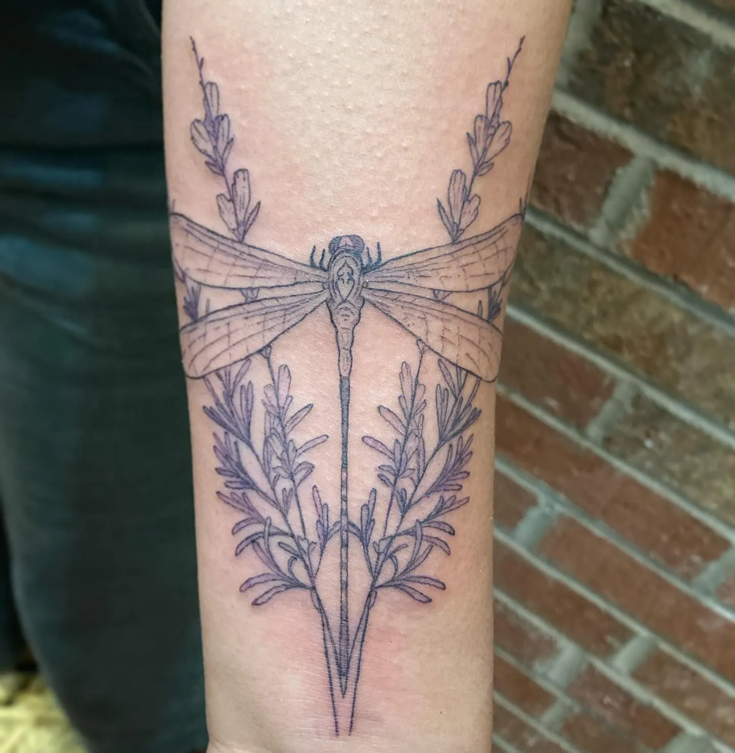 Rosemary Bunch with Dragonfly Leg Tattoo