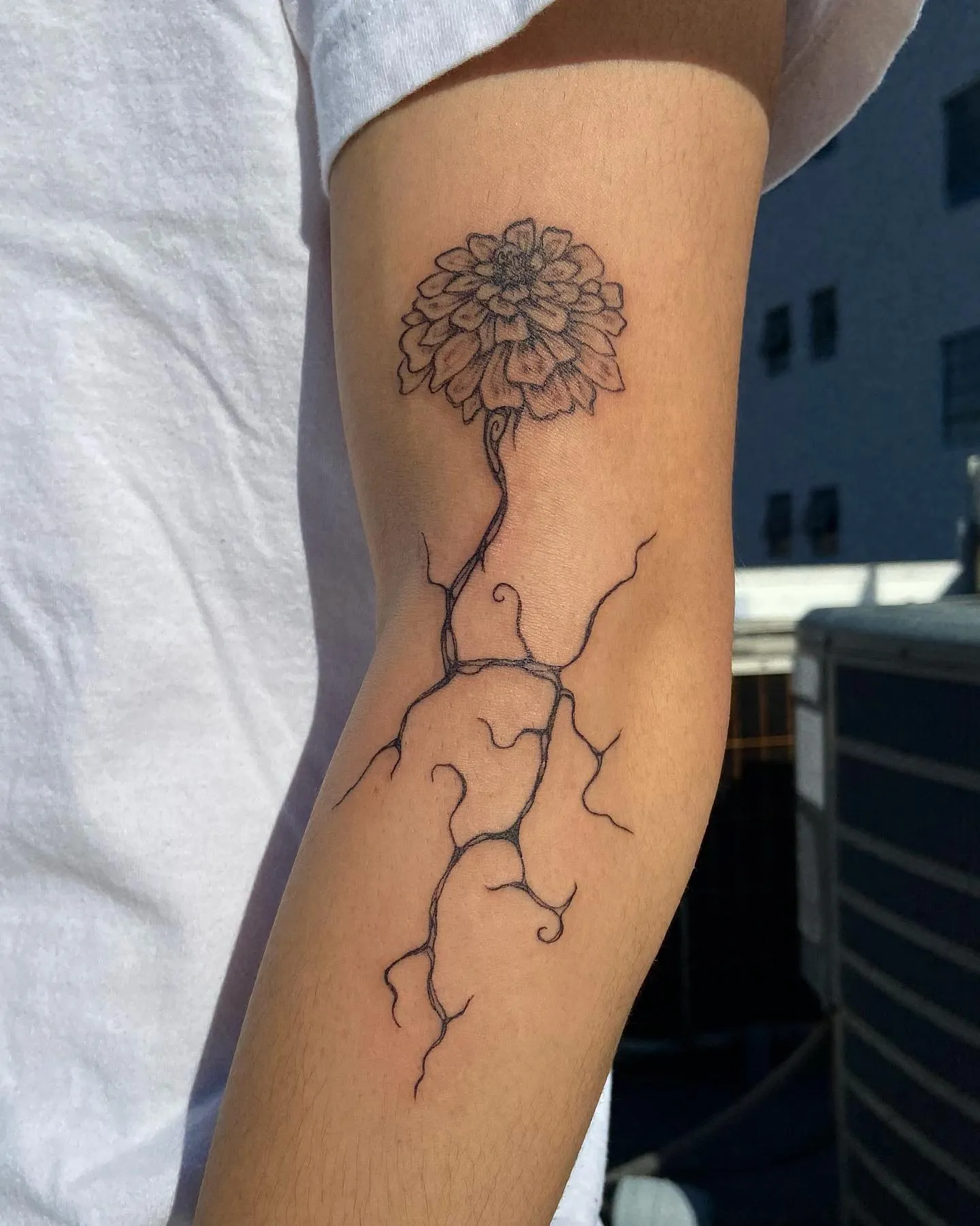 Zinnia bloom linework tattoo on arm