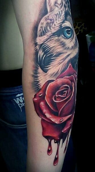 Owl with Rose Tattoo