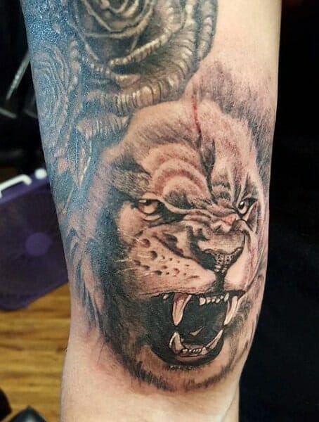 Knee Cap Lion Tattoo