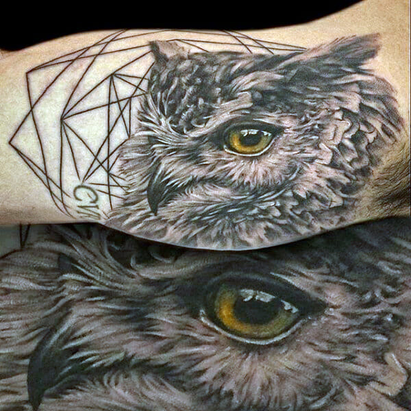 Realistic Grey Owl Tattoo