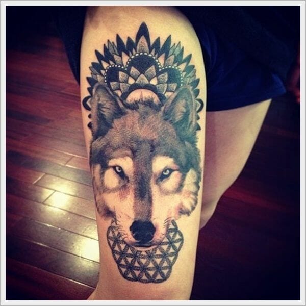 "Wolf