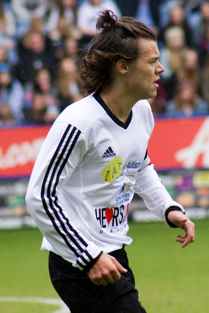 Harry Styles Long Hair