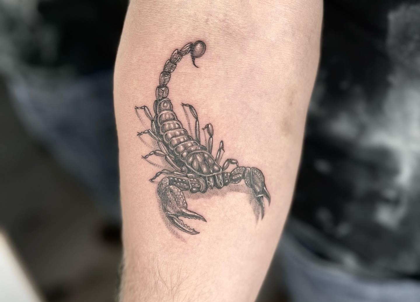 Geometric Scorpion Scorpio Tattoo Design - Astro Tattoos