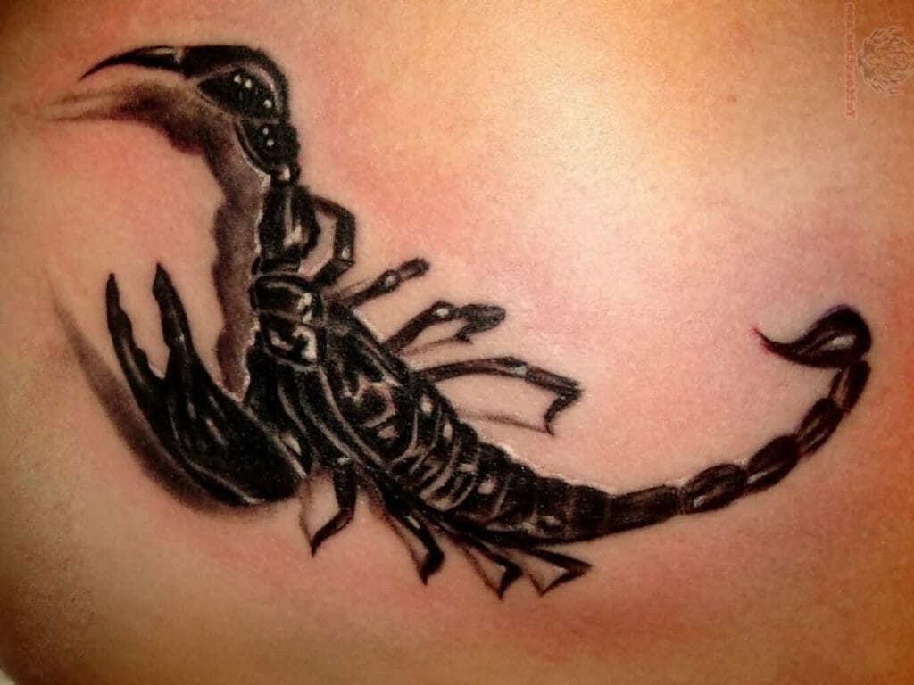 3d Scorpion Tattoo