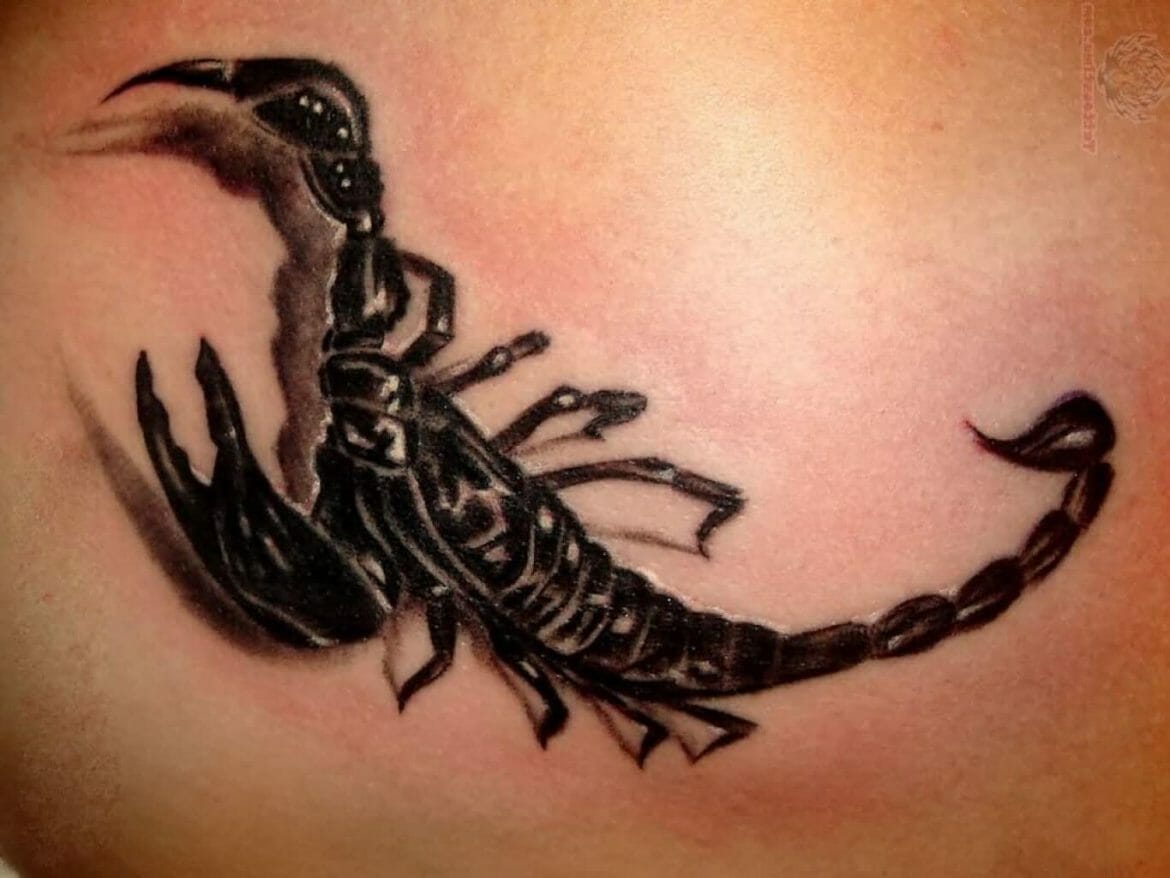 Traditional Scorpion Tattoo Designs - wide 1