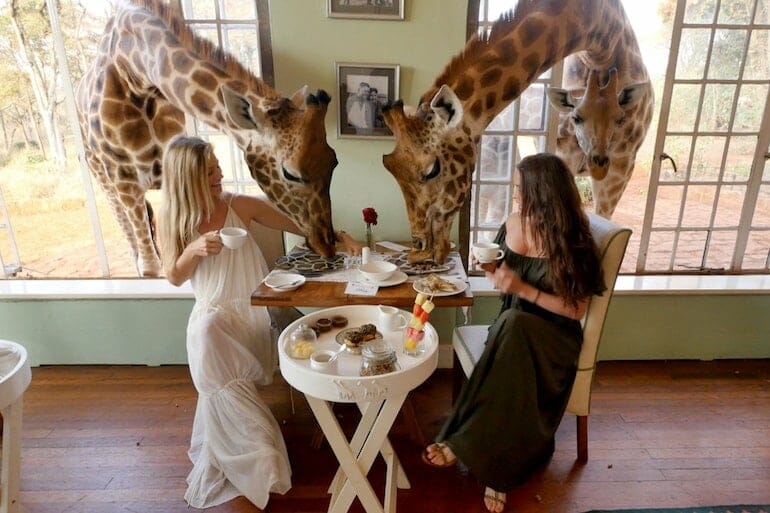 giraffe manor hotel kenya -min
