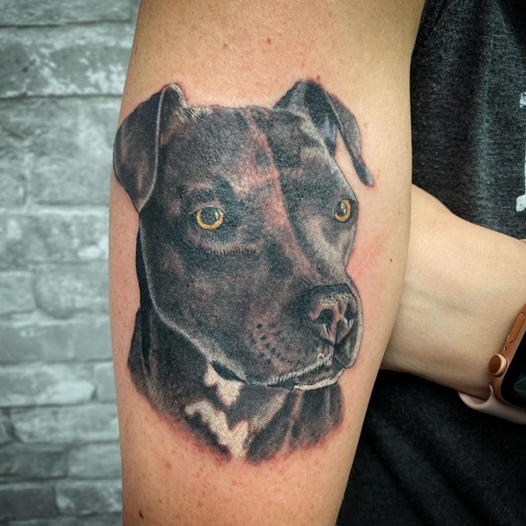 dog tattoos