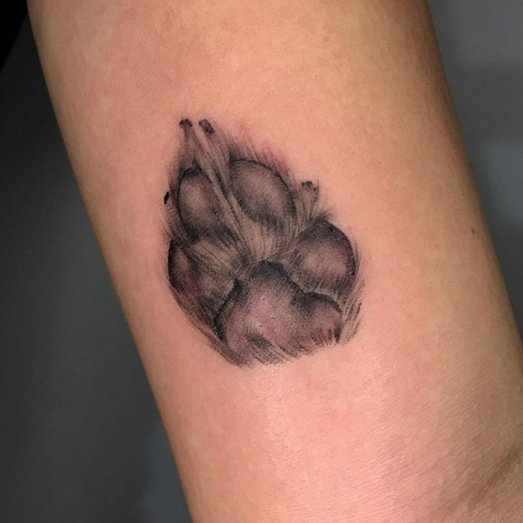 Tattoo paw print heart 1 Outsons