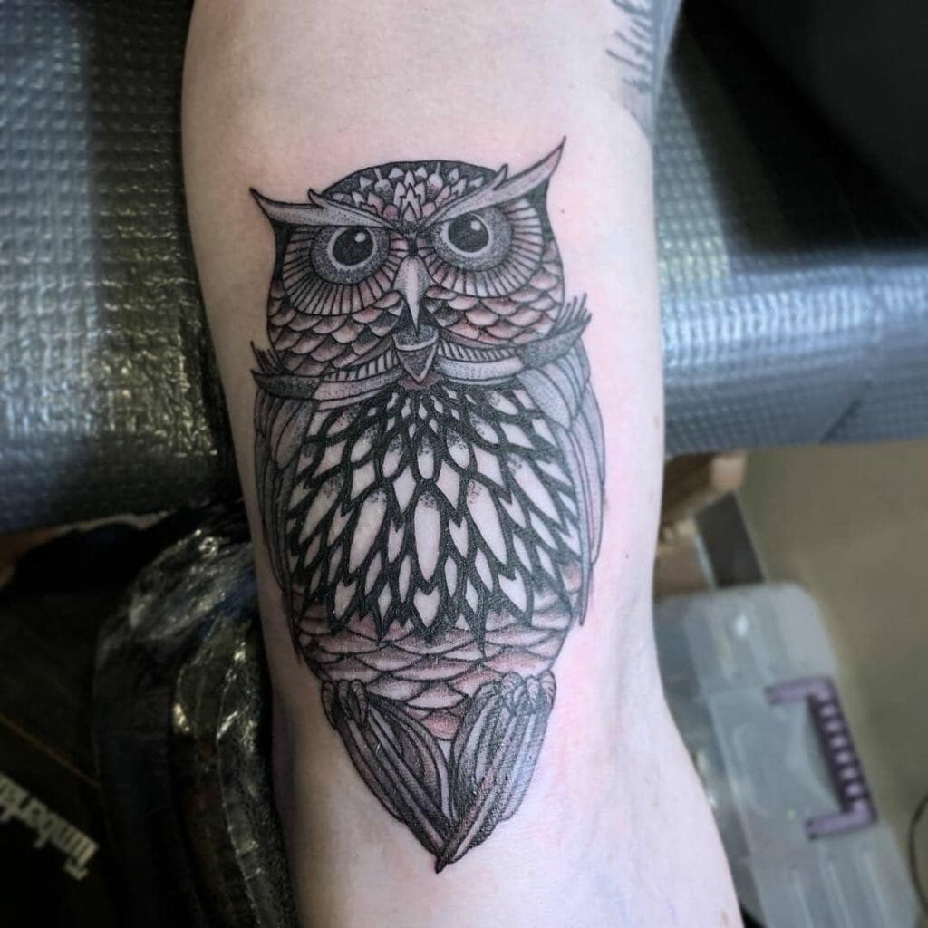 geometric owl