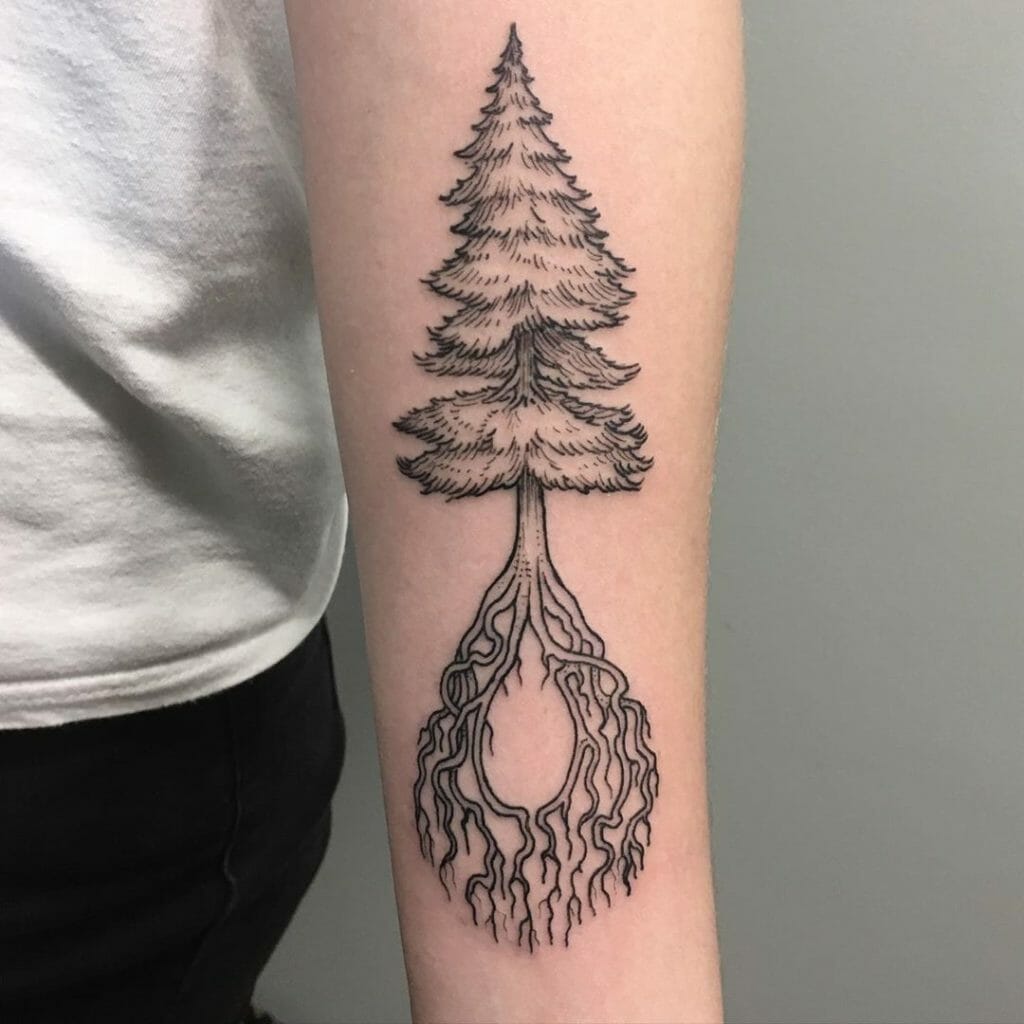Pine tree tattoo1