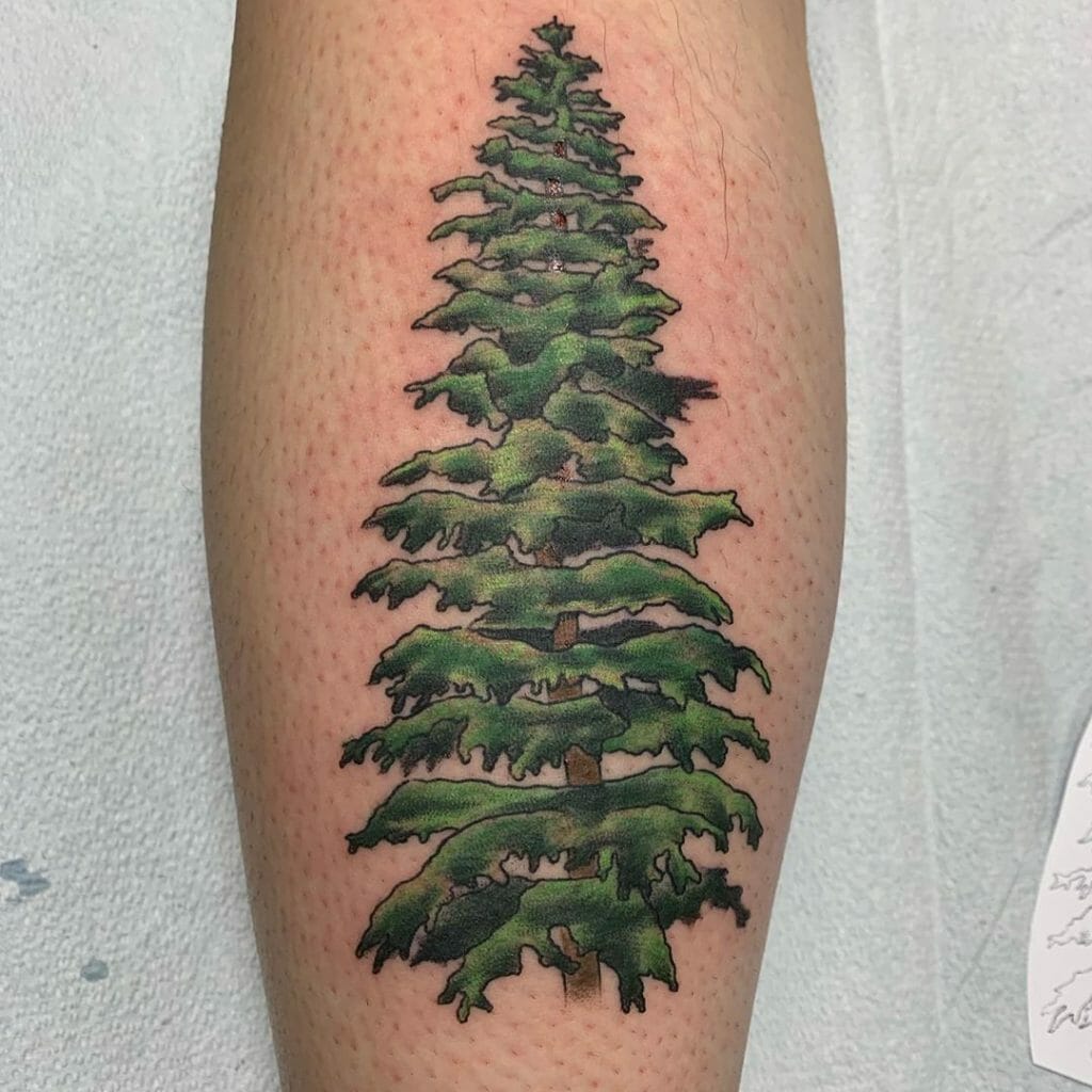 Pine tree tattoo4