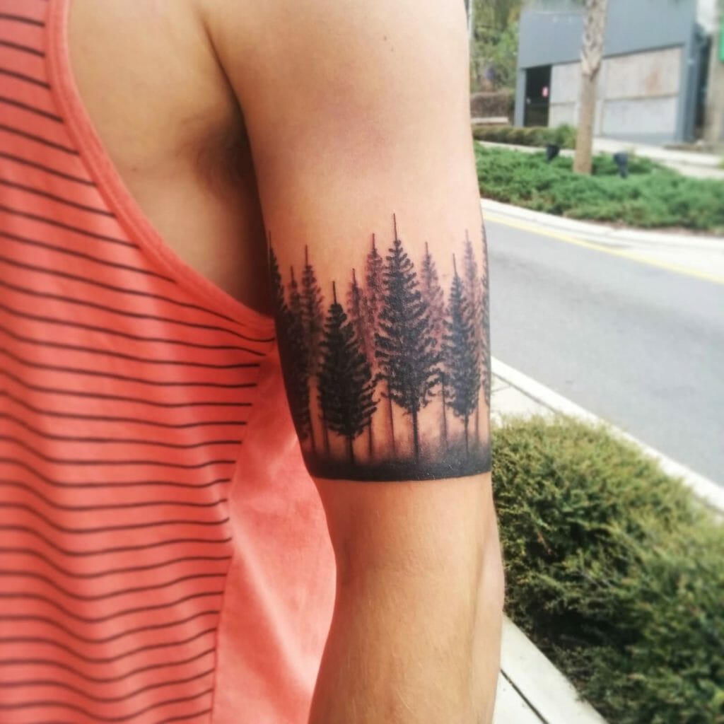 Pine treess