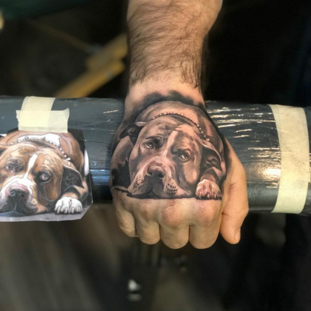 Pit bull tattoos ideas