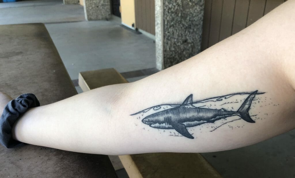 Shark Tattoo Designs For Men