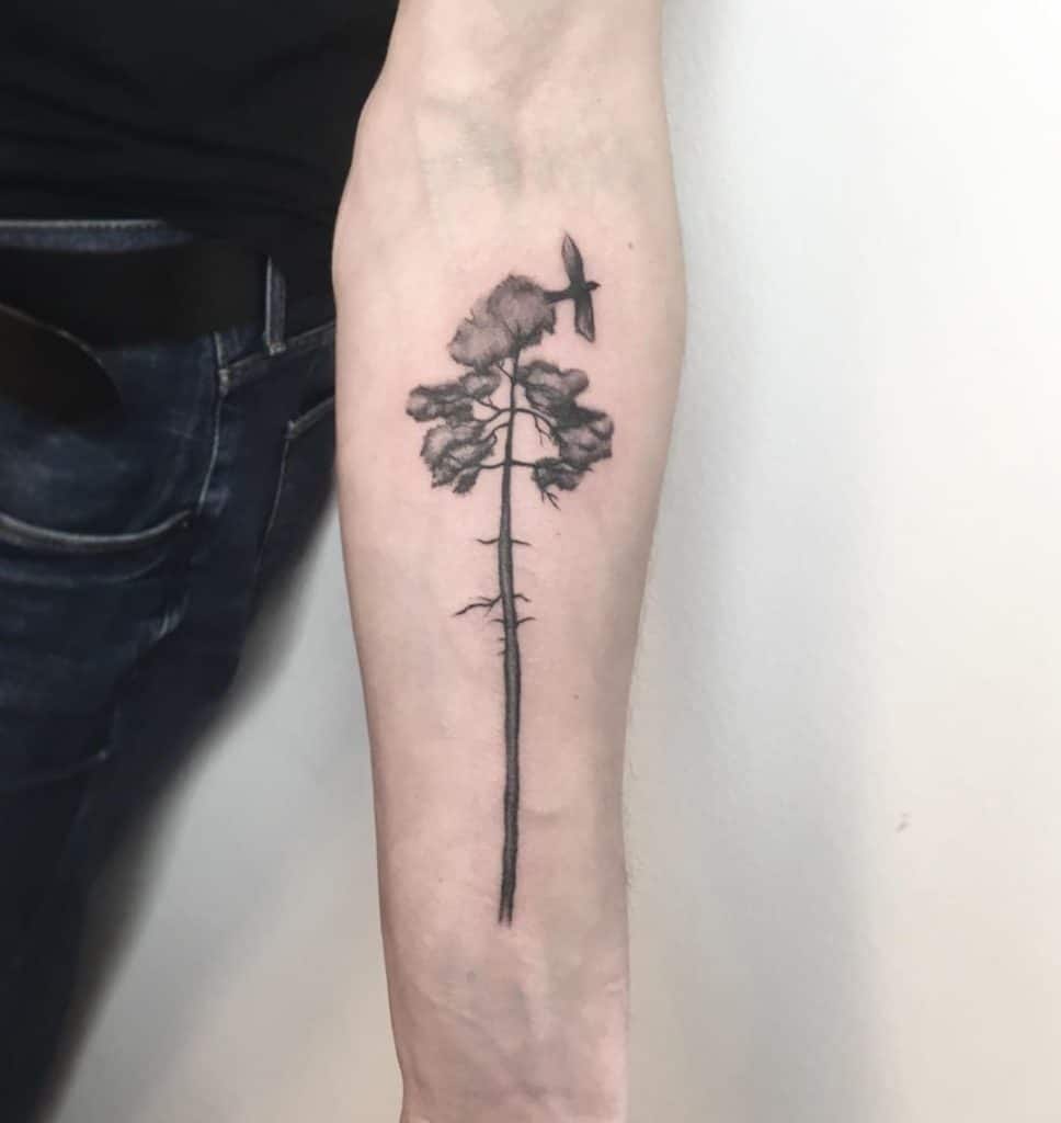 pine tree tattoo