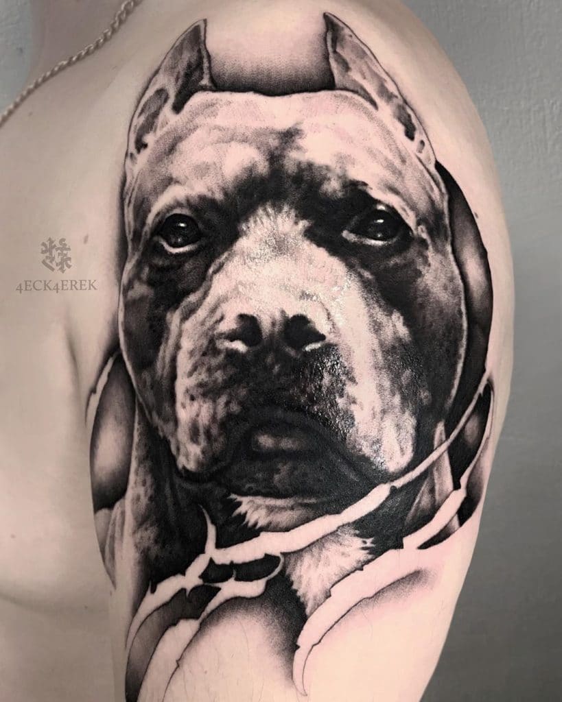 101 Amazing Pit Bull Tattoo Ideas You Will Love! | Outsons | Men's