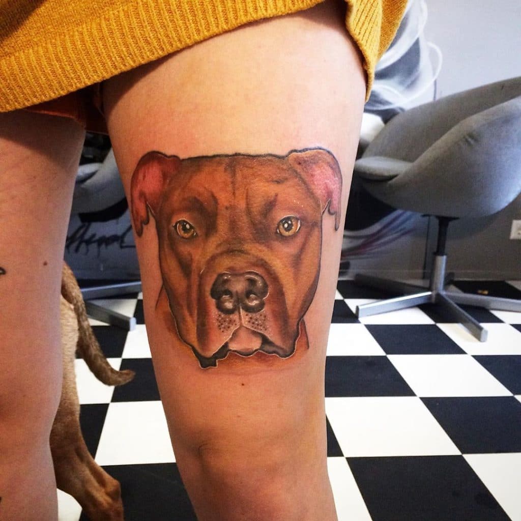 pit bull tattoos