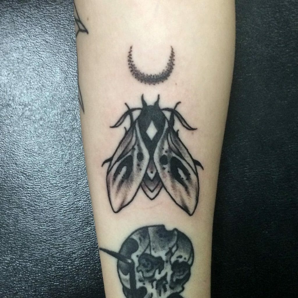 moth tattoo