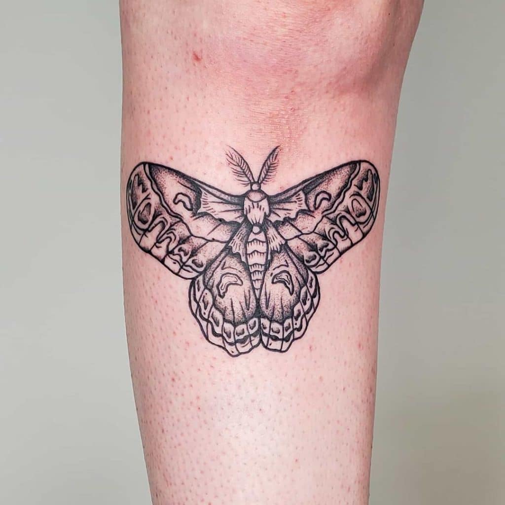 moth tattoo