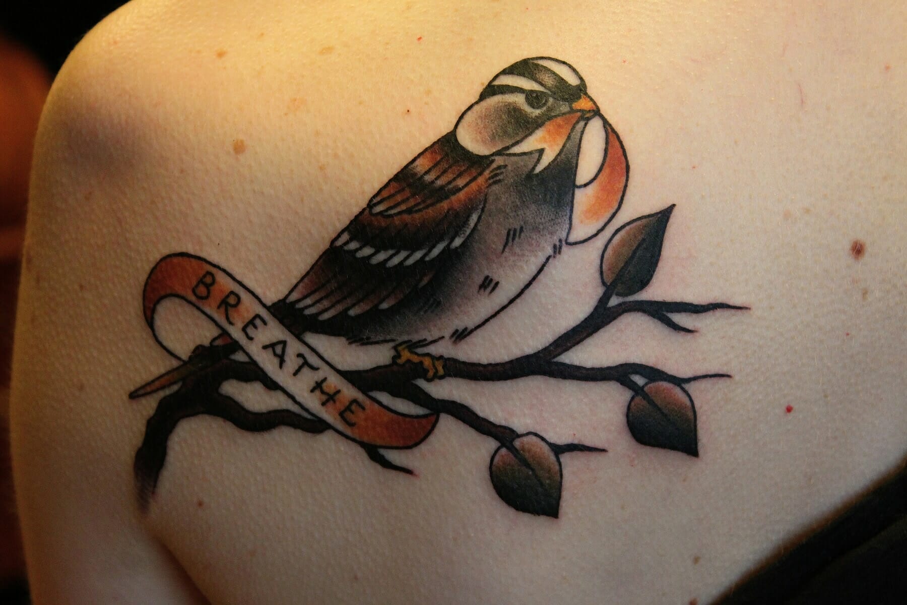 Sparrow Tattoo Ace Tattooz  Best Tattoo Studio in Mumbai India
