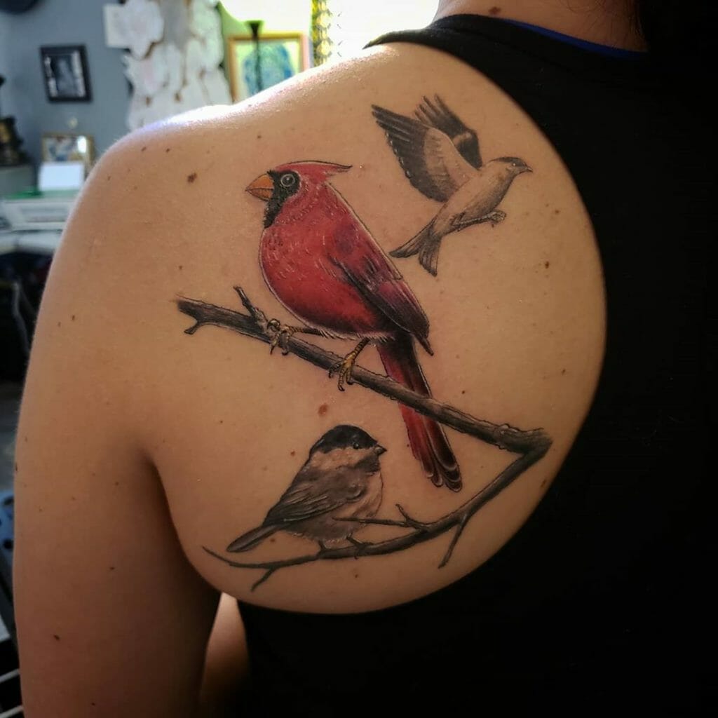 2020 02 25 16.57.35 2251511056952280031 cardinaltattoo Outsons