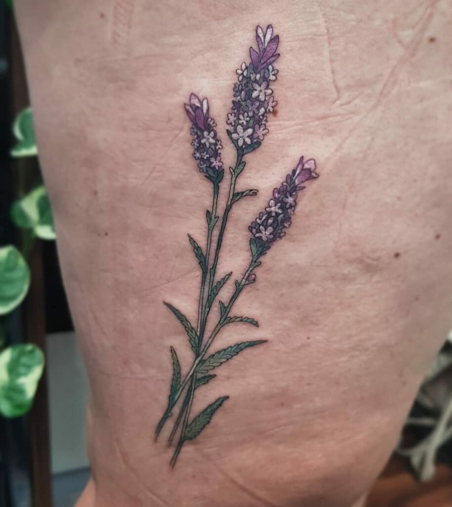 2020 07 10 19.16.19 2350150382371964570 lavendertattoo Outsons