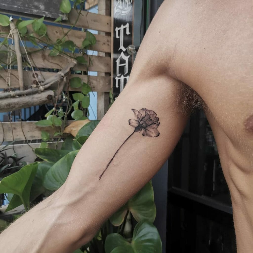 Arm Daffodil Flower Tattoos
