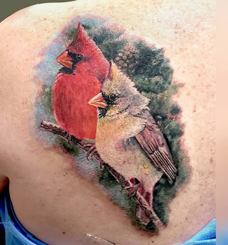 Cardinal Painting Tattoo Outsons