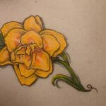 Daffodil Tattoo
