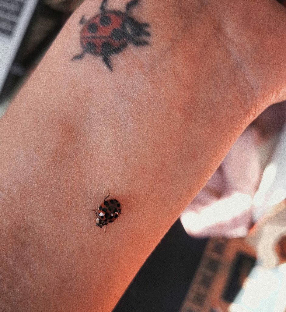 Ladybug Tattoos on Wrist Outsons