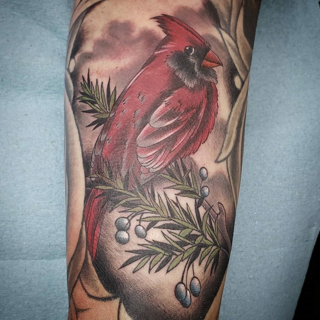 Red Cardinal Illustration Tattoo Outsons
