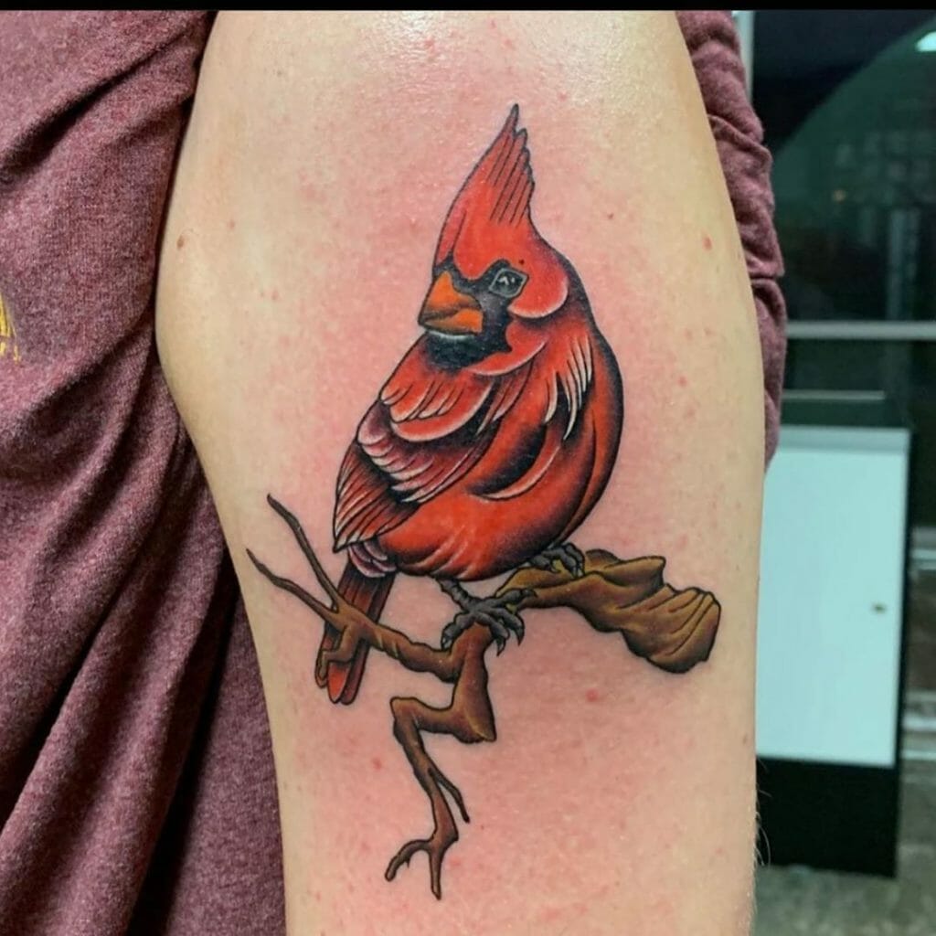Small Cardinal on Branch Tattoo Outsons