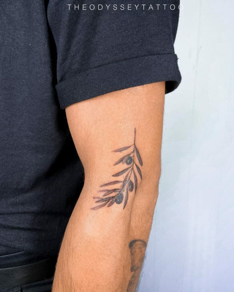 Arm Small Traditional Olive Branch Tattoo