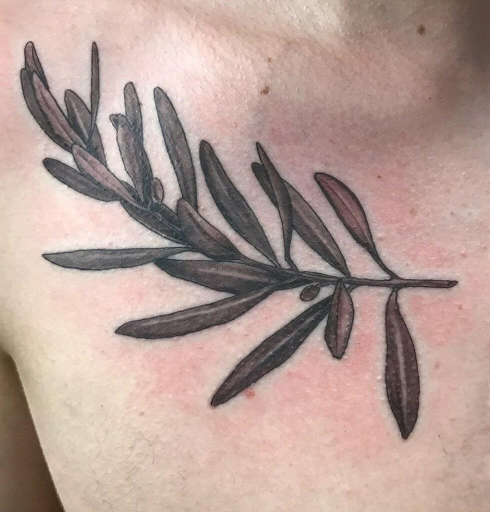 Black Simple Beautiful Olive Branch Tattoo