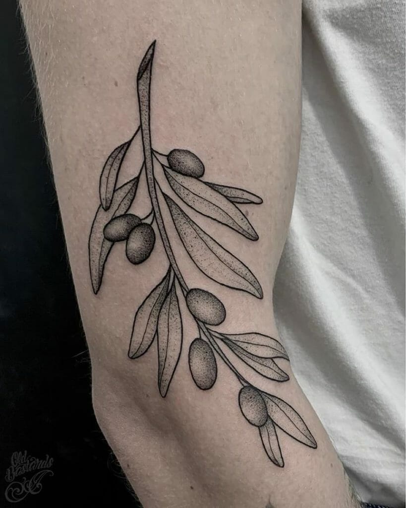 Fine Line Olive Branch Tattoo Design