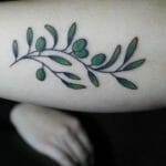 Olive Branch Tattoos Outsons